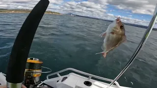 | Fishing one of the deepest harbours in the world | EDEN |