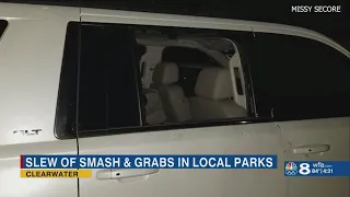 Clearwater Police warn residents after string of smash and grabs