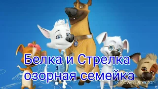 Ляпы в "Белка и Стрелка озорная семейка"