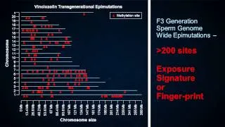 Ancestral ghosts in your genome | Michael Skinner | TEDxRainier