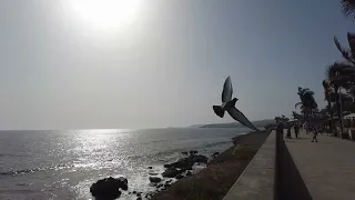 Gran Canaria..Meine Geschichte 5