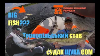 Судак Щука і Сом на Тернопільському ставі ! (GoldenFish)