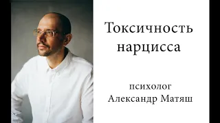 Токсичность нарцисса