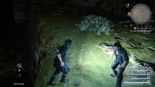 Final Fantasy XV: Invisible Wall Bug/Glitch