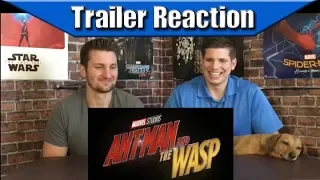 Antman and the Wasp Trailer 2 Reaction - Small then Big...Then Small...Then Big...