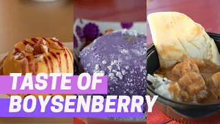 Knott's Berry Farm: Taste of Boysenberry Festival Food Review