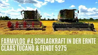 Mit zwei Dreschern im Einsatz FarmVlog#4 Weizen, Dinkel und Ackerbohnen Dreschen