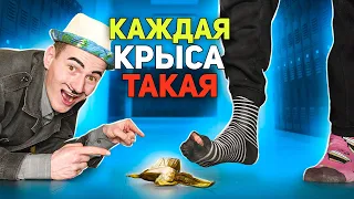 КАЖДАЯ КРЫСА ТАКАЯ