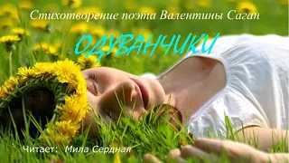 Мила Сердная – Одуванчики (стихи Валентины Саган)