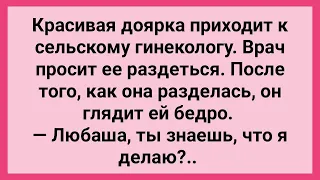 Доярка Посетила Сельского Гинеколога! Сборник Свежих Смешных Жизненных Анекдотов!