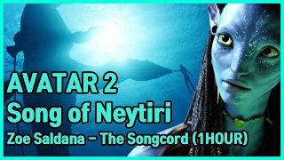 [𝐎𝐒𝐓] 아바타2 네이티리의 노래 Zoe Saldana-The Songcord 1시간 [AVATAR2 Song of Neytiri 1HOUR]