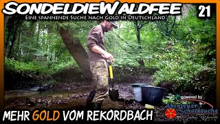 🔶 Mehr Gold vom Rekordbach 🔶 Goldwaschen Goldsuche in Deutschland Gold prospecting