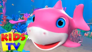Bebek köpekbalığı | çocuklar tekerlemeler | Cizgi film | Kids TV Türkçe | Okul öncesi