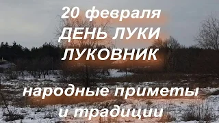 20 февраля ДЕНЬ ЛУКИ . ЛУКОВНИК . народные приметы и традиции