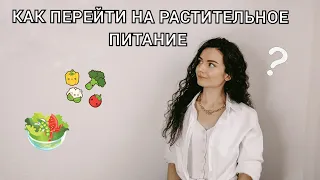 КАК ЛЕГКО ПЕРЕЙТИ НА РАСТИТЕЛЬНОЕ ПИТАНИЕ? КАК ПЕРЕЙТИ НА ВЕГАНСКОЕ ПИТАНИЕ.