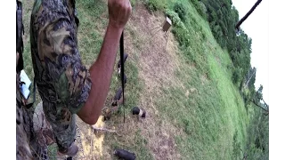 Black Bear and a big gnarly boar speared from above.