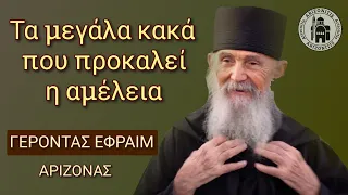 Τα μεγάλα κακά που προκαλεί η αμέλεια - Γέροντας Εφραίμ Αριζόνας