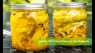 Pickled Fennel Perfect For Salads