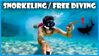 Snorkeling and Free Diving - Destin Florida