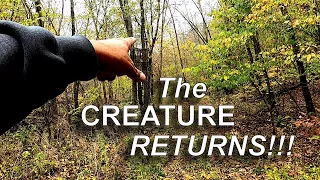 Unexpected Creature on Trail Cam Returns ― New Tree Stand and Blind