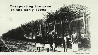 History of Convict Leasing in Fort Bend County