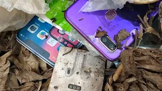 Restoring Abandoned Destroyed Phone, Found a lot of broken phones!