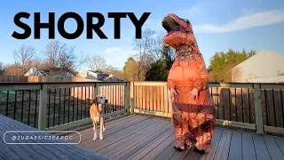 a T-Rex costume for SHORT PEOPLE?!