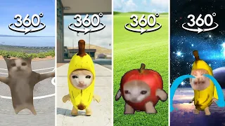 FIND CAT MEME COMPILATION | Banana Cat, Happy Cat, Apple Cat Finding Challenge 360º VR Video