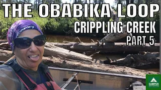 6 Days ALONE in the WILDERNESS - The Obabika Loop - Part 5 - Crippling Creek - Woman Camping Alone