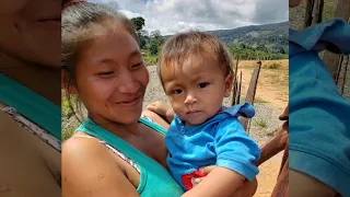 Voices of Peru NGO  The Asháninka People