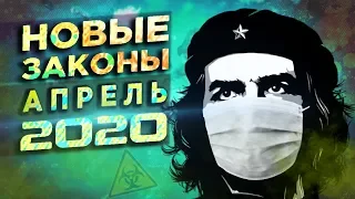 13 новых законов, которые изменят вашу жизнь в апреле 2020 / Штрафы, отсрочка по кредитам, налоги