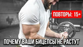 Почему ваши бицепсы не растут