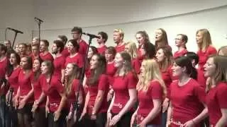 Choriosity sings FUN - Some nights - a cappella