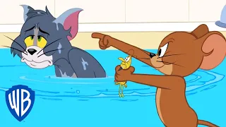 Tom y Jerry en Español | El problema de la garrapata de Tom | WB Kids