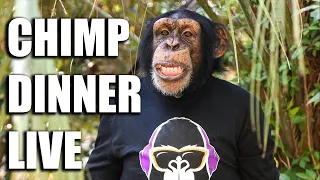 Chimp Dinner Live with Doc Antle