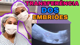 Diário da FIV - Ep. 5 - TRANSFERÊNCIA DE EMBRIÕES