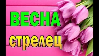 СТРЕЛЕЦ  ВЕСНА 2019  Таро прогноз (гороскоп)