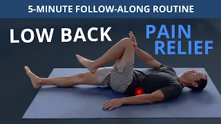 5 Minute Daily Routine for Low Back Pain Relief (FOLLOW-ALONG)