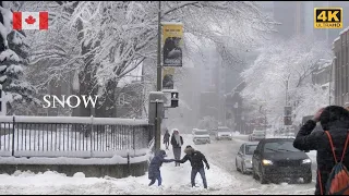 BIG SNOWFALL in Montreal Canada 🇨🇦 [4K] First Major Snowstorm of the Season Hits Quebec Snow video