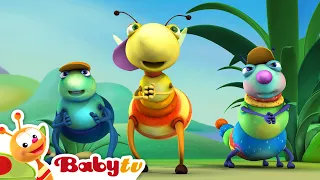 Hoppin' ke irama Hip Hop bersama Bugs Band 🐞 | Musik untuk balita 🎵 | Lagu Anak@BabyTVIndo