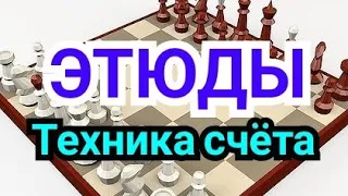 18 ) Лекция.                  ЭТЮДЫ. ТЕХНИКА СЧЁТА В ШАХМАТАХ