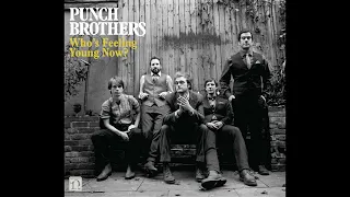 03 No Concern of Yours 432hz - Punch Brothers