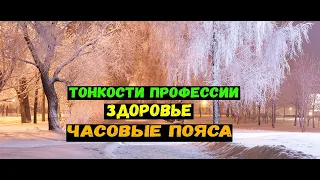 Тонкости профессии | Время работы | Здоровье | Активность | Трейдинг.