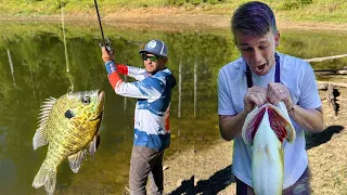 I caught a GIANT living in this TINY POND!! (LIVE BAIT)