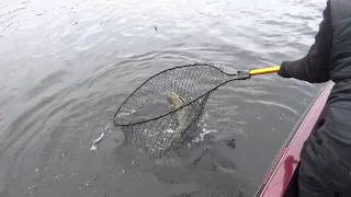 February Flashback, Volume 24. When Sucker Fishing, Set Straight Up!!!