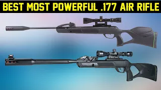 Best Most Powerful .177 Air Rifle 2022 - Top 5