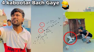 Aaj Bhi 4 Kabootar Bach Gaye Sedi ke 😂|