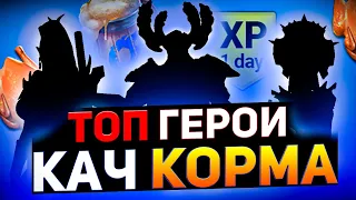 12+ героев для прокачки корма в кампании Raid shadow legends!