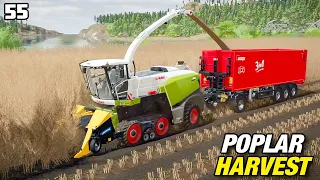 HOW MUCH WILL WE MAKE? POPLAR HARVEST | FS22 Platinum Edition - Episode 55