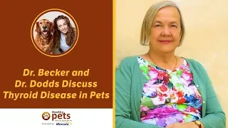 Dr. Becker and Dr. Dodds Discuss Thyroid Disease in Pets